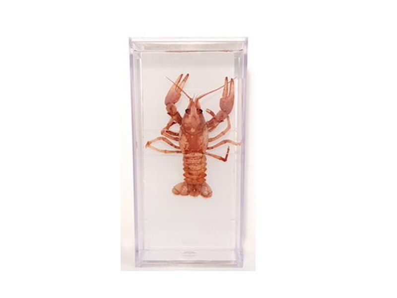item_1957