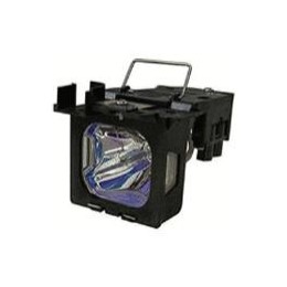 item_19654