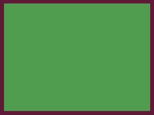 item_13491