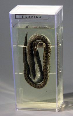 item_13625