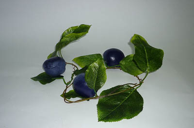 item_12203